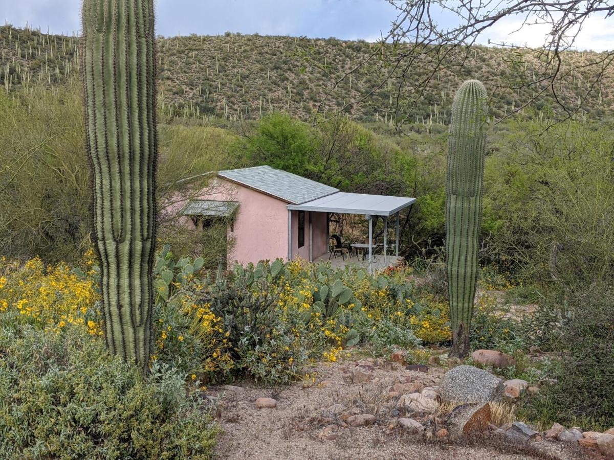 Saguaro Lake Ranch فاونتن هيلز المظهر الخارجي الصورة