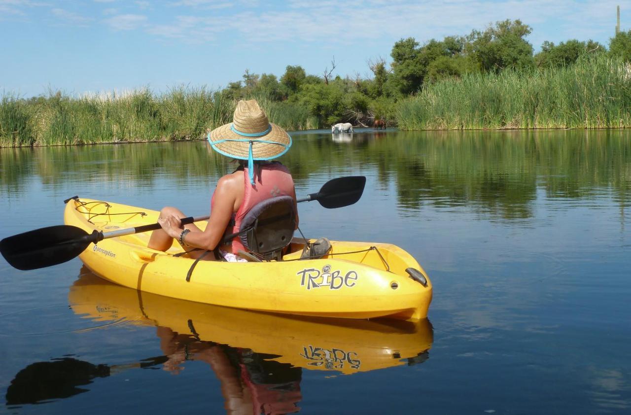 Saguaro Lake Ranch فاونتن هيلز المظهر الخارجي الصورة
